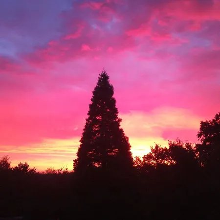 Five Oaks - Rote Apartment Hohenkirchen (Nordwestmecklenburg)